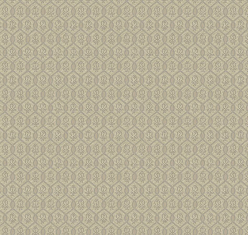 Флизелиновые обои Loymina  Amber Salon AS3 005