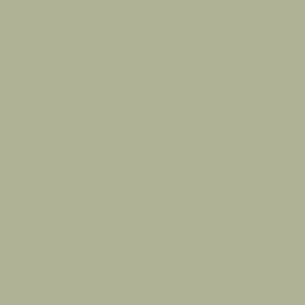 Краска Ressource F38 Green Fog