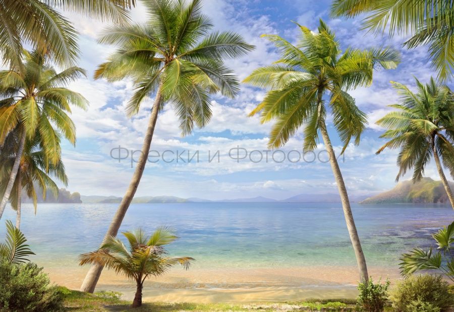 Фреска Affresco Фрески и фотообои 6492 | Гарантия низкой цены!