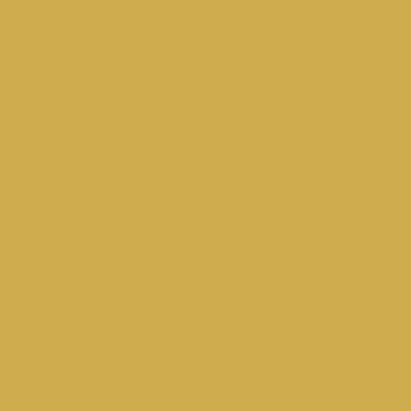 Краска Ressource SC208 Roman Ochre
